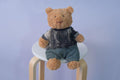 Jellycat Bear Clothes, Streetwear T-Shirt and Jeans Set for Medium Large Bear, Outfit Only Plush Not Included